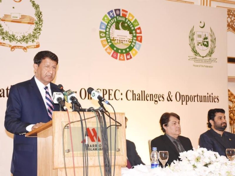 Center for Democracy and Climate Studies- CDCS CPEC Seminar (10)