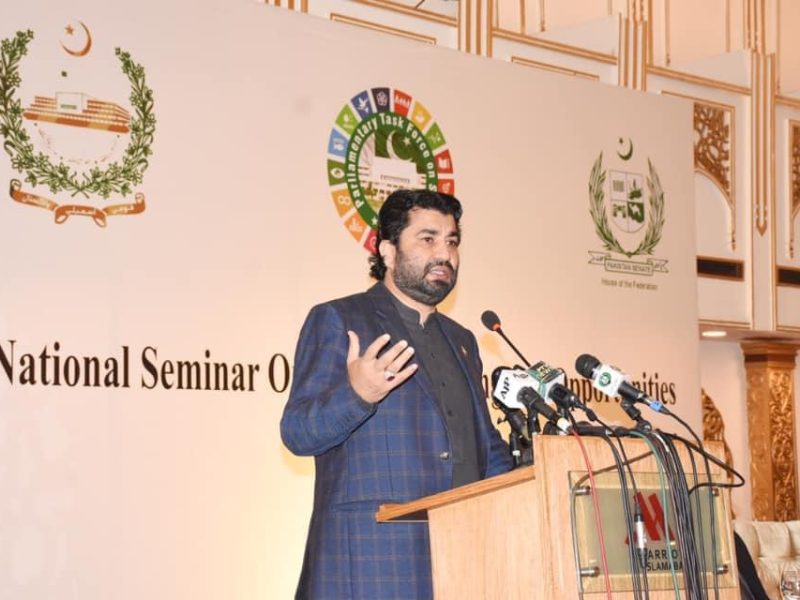 Center for Democracy and Climate Studies- CDCS CPEC Seminar (11)