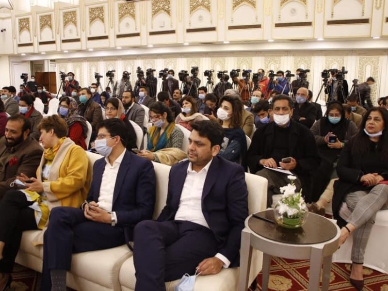 Center for Democracy and Climate Studies- CDCS CPEC Seminar (12)