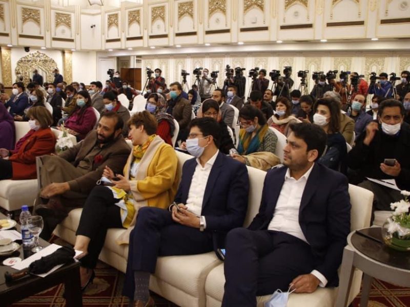 Center for Democracy and Climate Studies- CDCS CPEC Seminar (14)