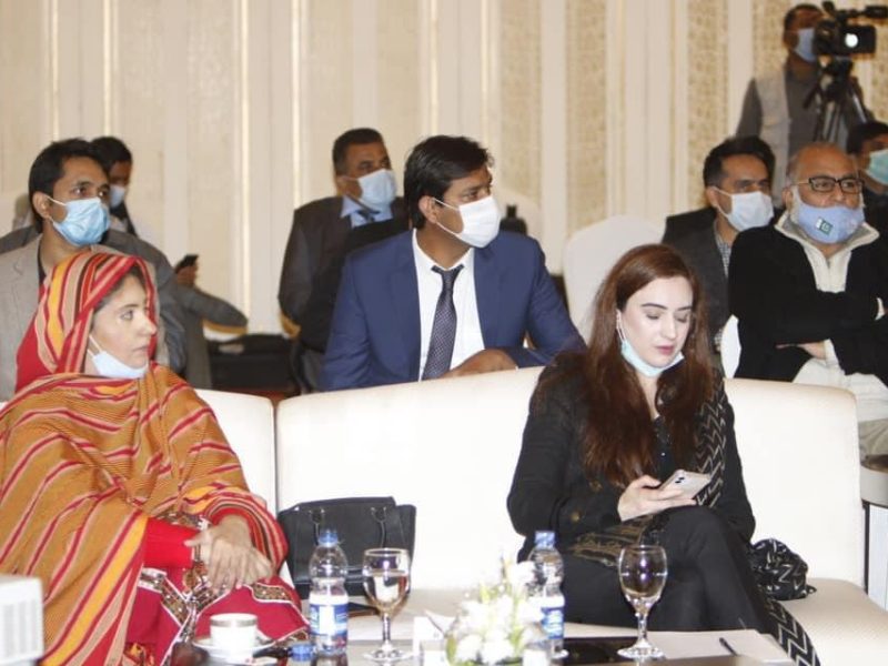 Center for Democracy and Climate Studies- CDCS CPEC Seminar (15)