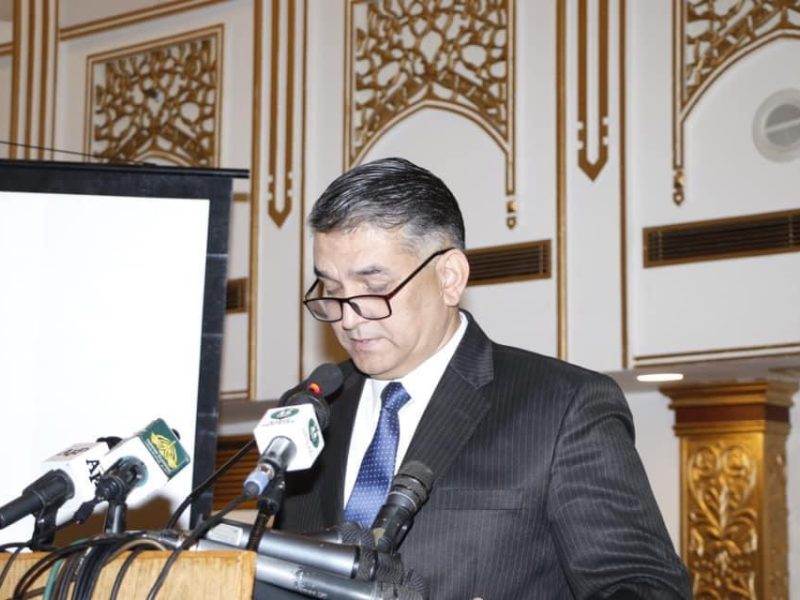 Center for Democracy and Climate Studies- CDCS CPEC Seminar (7)