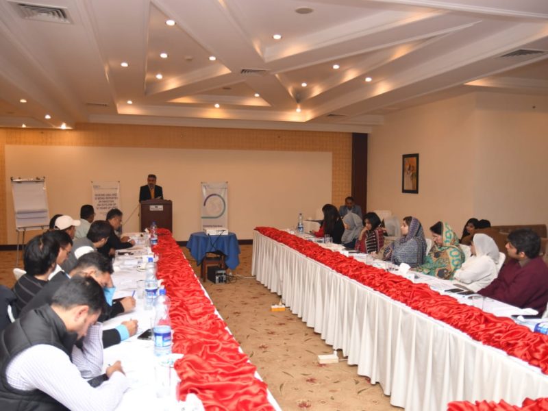 cdcs - center for democracy and climate - cpec seminar (17)